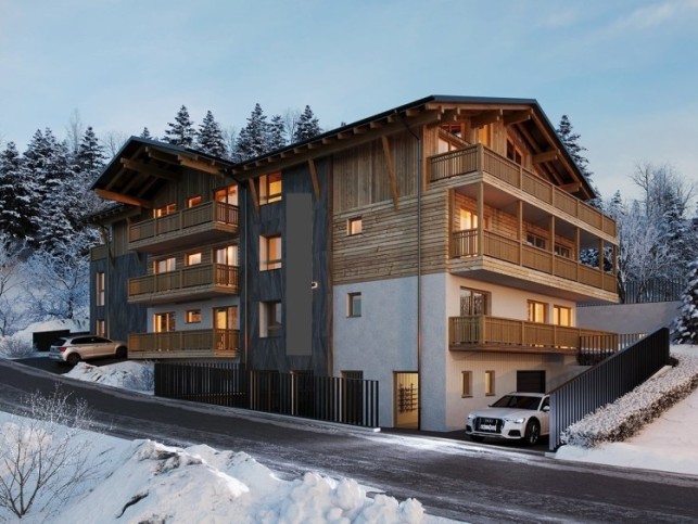 Apartmány bez povinného pronájmu, Ski Amadé