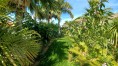 Vila na prodej Santa Ursula