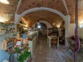 Půvabný statek s vinicemi a olivami na prodej, Montescudaio