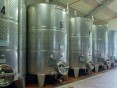 Půvabný statek s vinicemi a olivami na prodej, Montescudaio