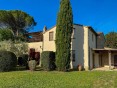 Půvabný statek s vinicemi a olivami na prodej, Montescudaio