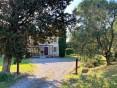 Půvabný statek s vinicemi a olivami na prodej, Montescudaio