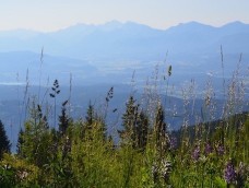 Bad Kleinkirchheim | Korutany | Nassfeld