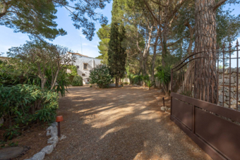 Venkovská usedlost na jihu Itálie na prodej, Puglia