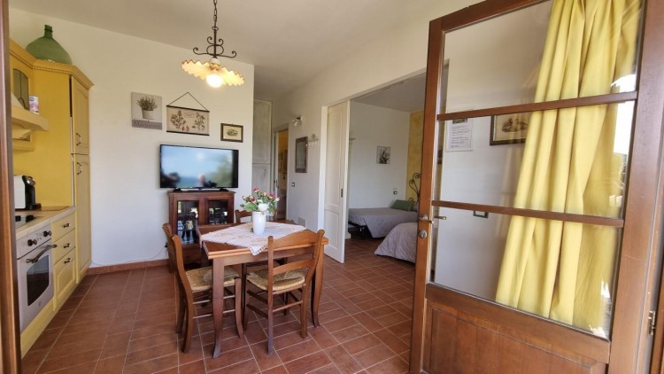 Venkovská usedlost s 5 byty a bazénem na prodej, Montecatini Val di Cecina