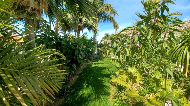 Vila na prodej Santa Ursula