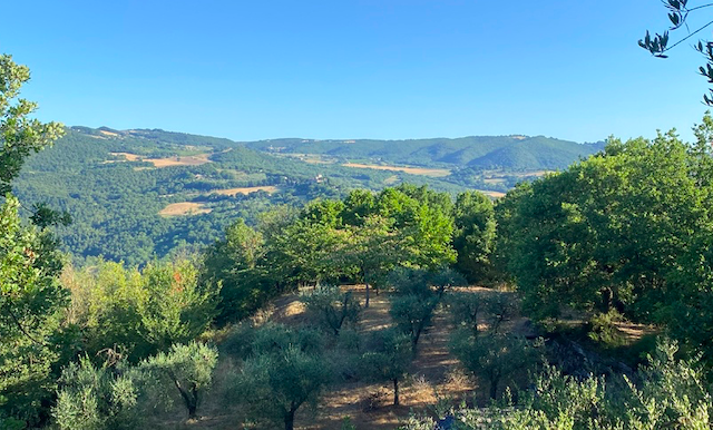 Luxusní rodinná rezidence s bazénem u Todi