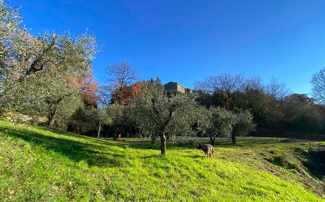 Luxusní rodinná rezidence s bazénem u Todi