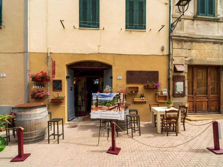 Půvabný statek s vinicemi a olivami na prodej, Montescudaio