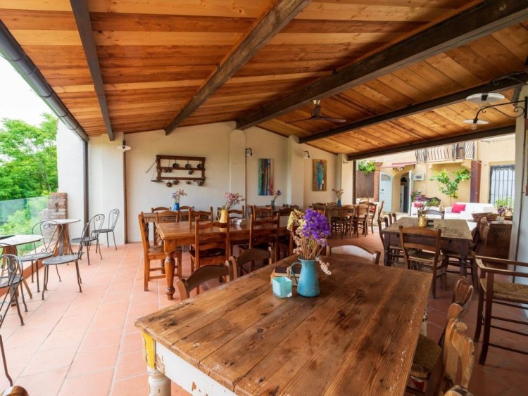 Půvabný statek s vinicemi a olivami na prodej, Montescudaio