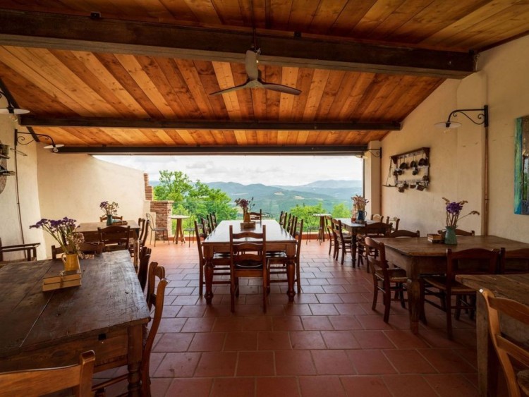 Půvabný statek s vinicemi a olivami na prodej, Montescudaio