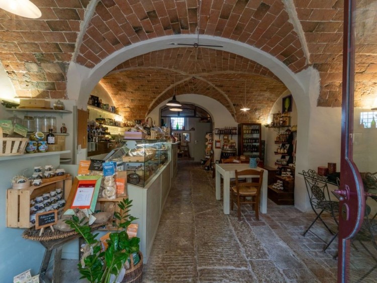 Půvabný statek s vinicemi a olivami na prodej, Montescudaio