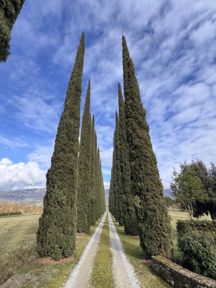 Historická usedlost na prodej s výhledem, Cortona