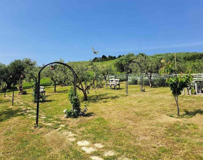 Vila s výhledem na moře a olivovým hájem u Pineta