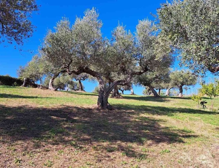 Rodinná vila s bazénem u městečka Penne