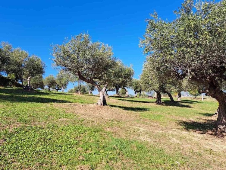 Rodinná vila s bazénem u městečka Penne