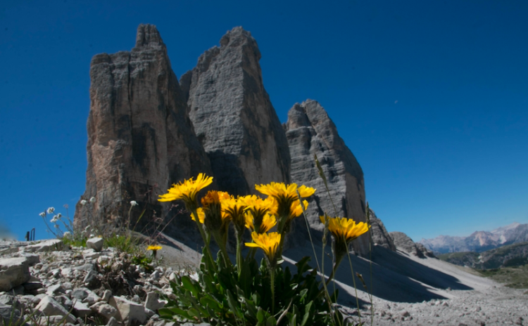 Krásný historický hotel v perfektním stavu  v San Candido v italských Dolomitech