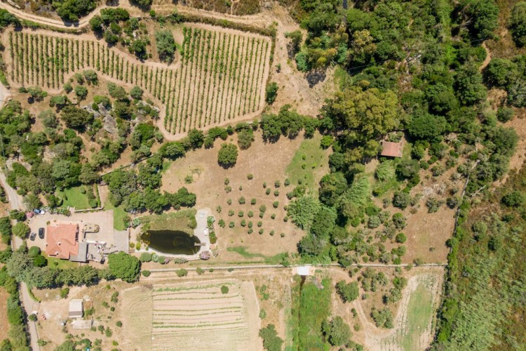 Malebná vila s jezerem v San Panteleo