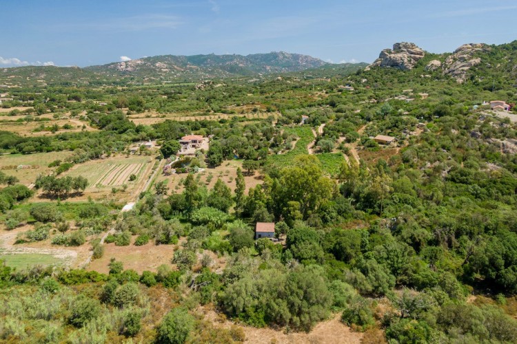 Malebná vila s jezerem v San Panteleo