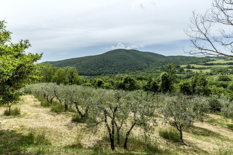 Kamenná vila u Montepulciana