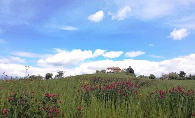 Panoramatická vila s bazénem u Terama