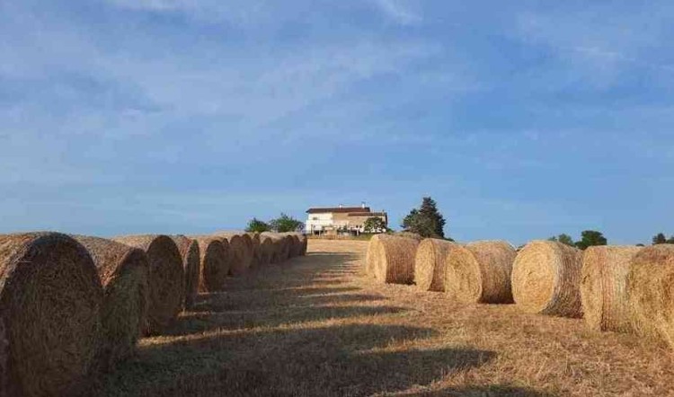 Panoramatická vila s bazénem u Terama