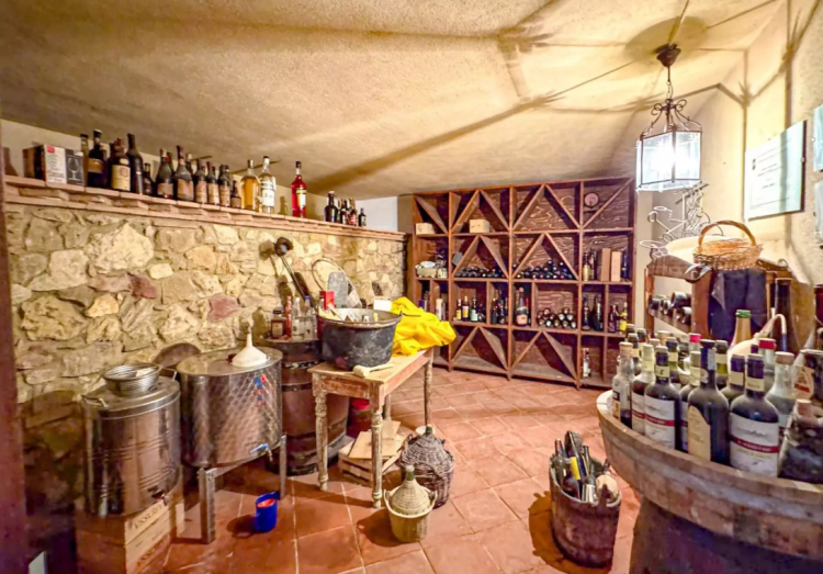 Vila s bazénem na prodej, Cecina