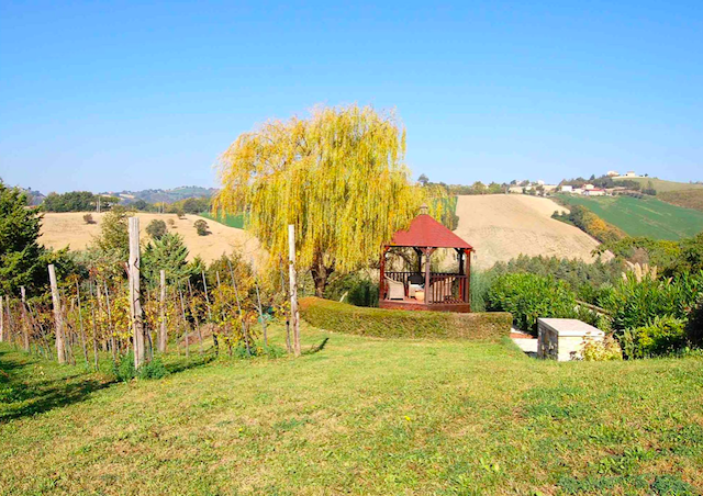 Nádherná vila s bazénem, vinicí a výhledem v Penna San Giovanni