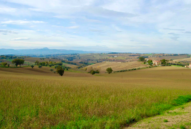 Venkovský statek v Montecassiano v Le Marche